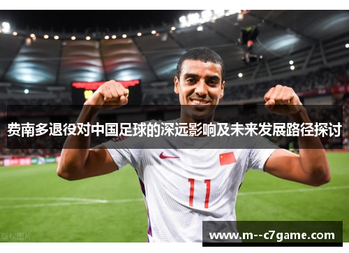 费南多退役对中国足球的深远影响及未来发展路径探讨